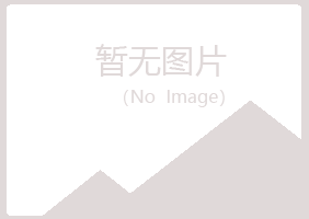 文山州夏岚能源有限公司